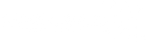 AeroRioShop